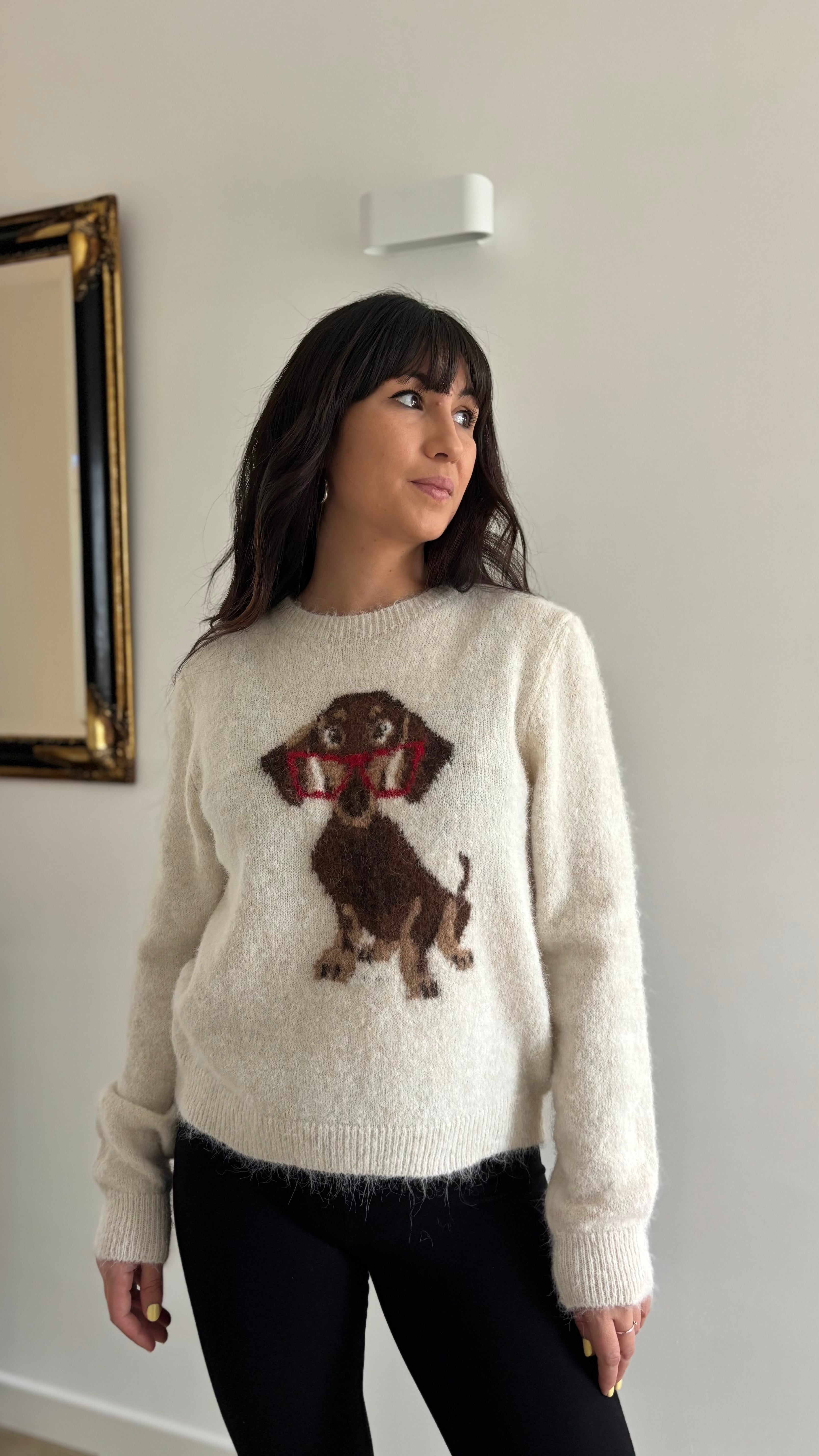 Pull tout doux chien