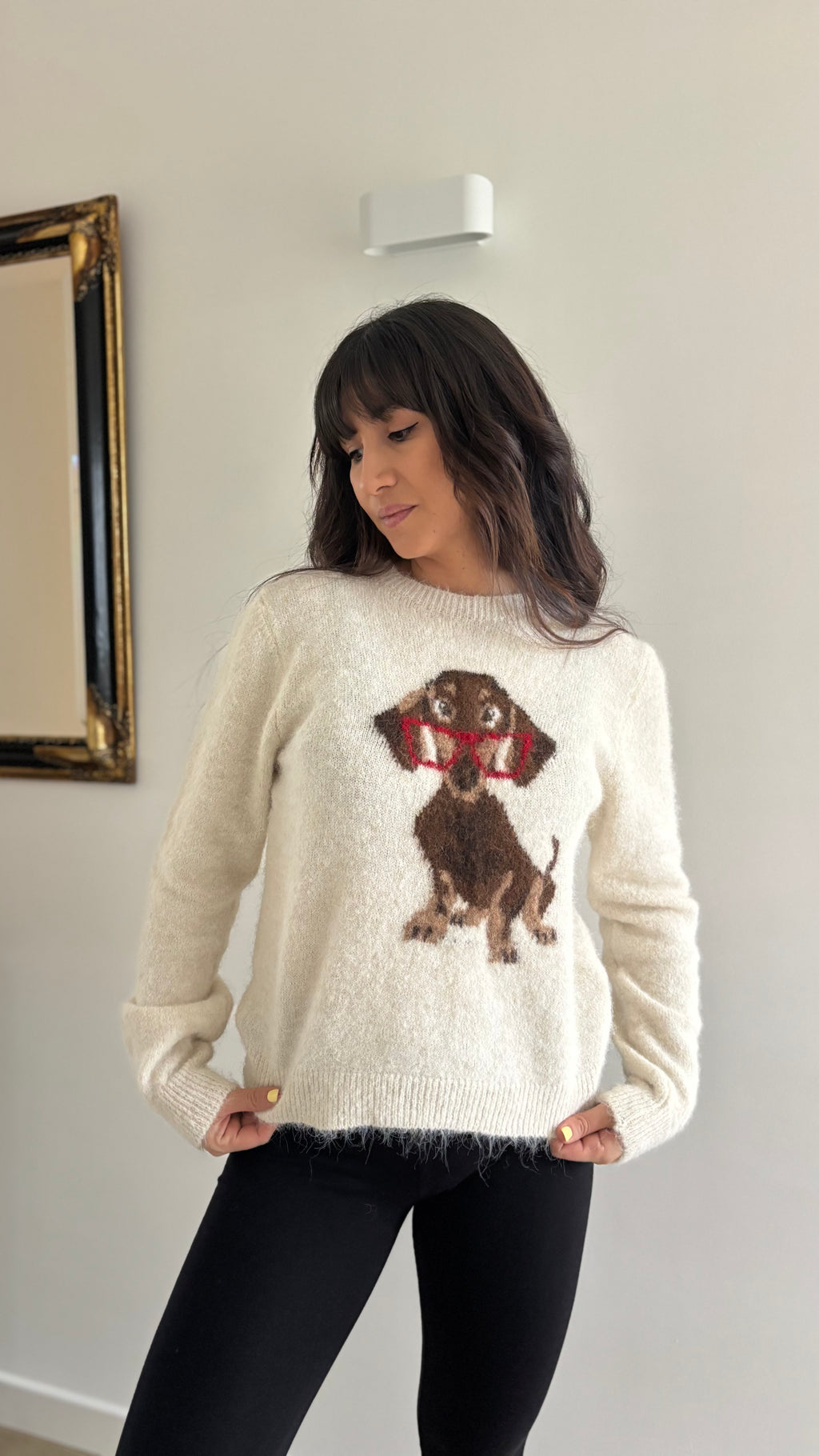 Pull tout doux chien