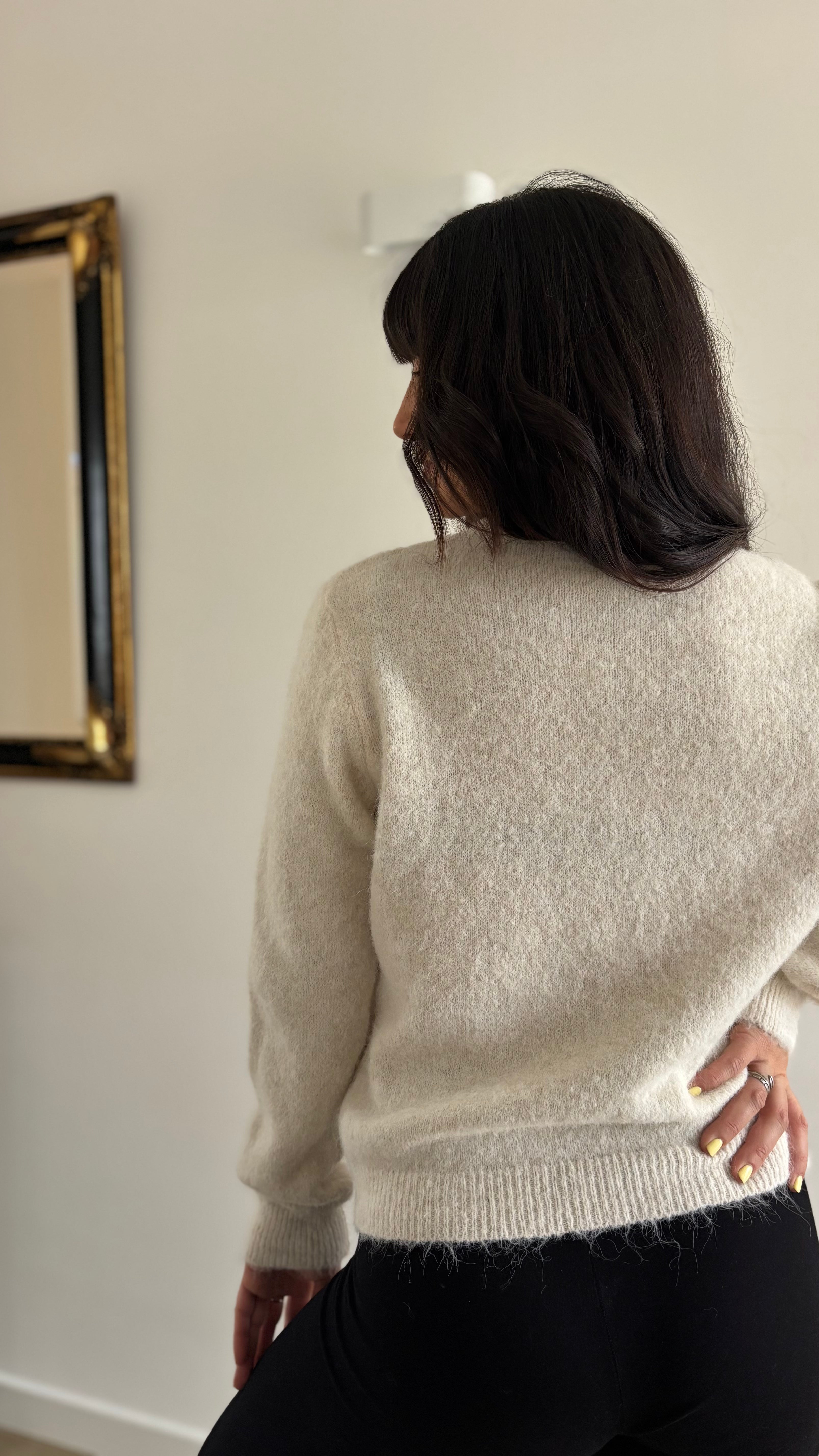 Pull tout doux chien