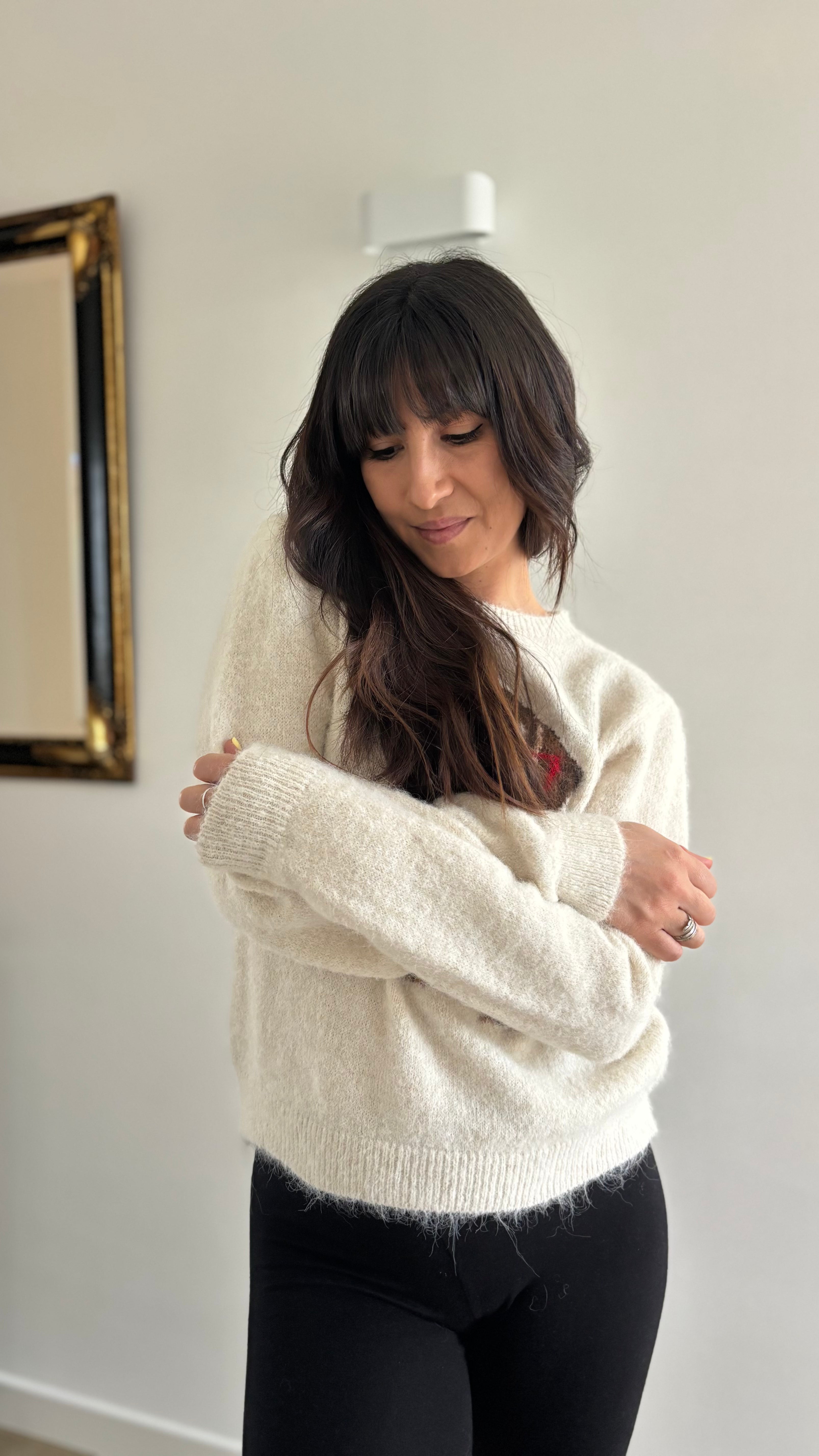 Pull tout doux chien