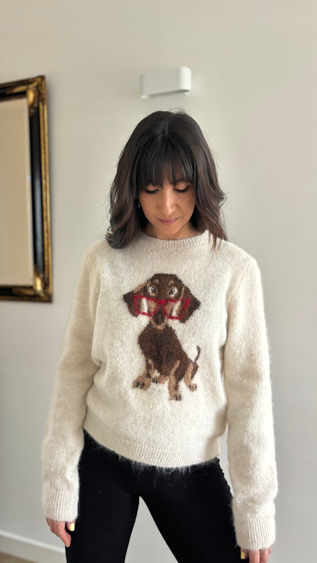Pull tout doux chien
