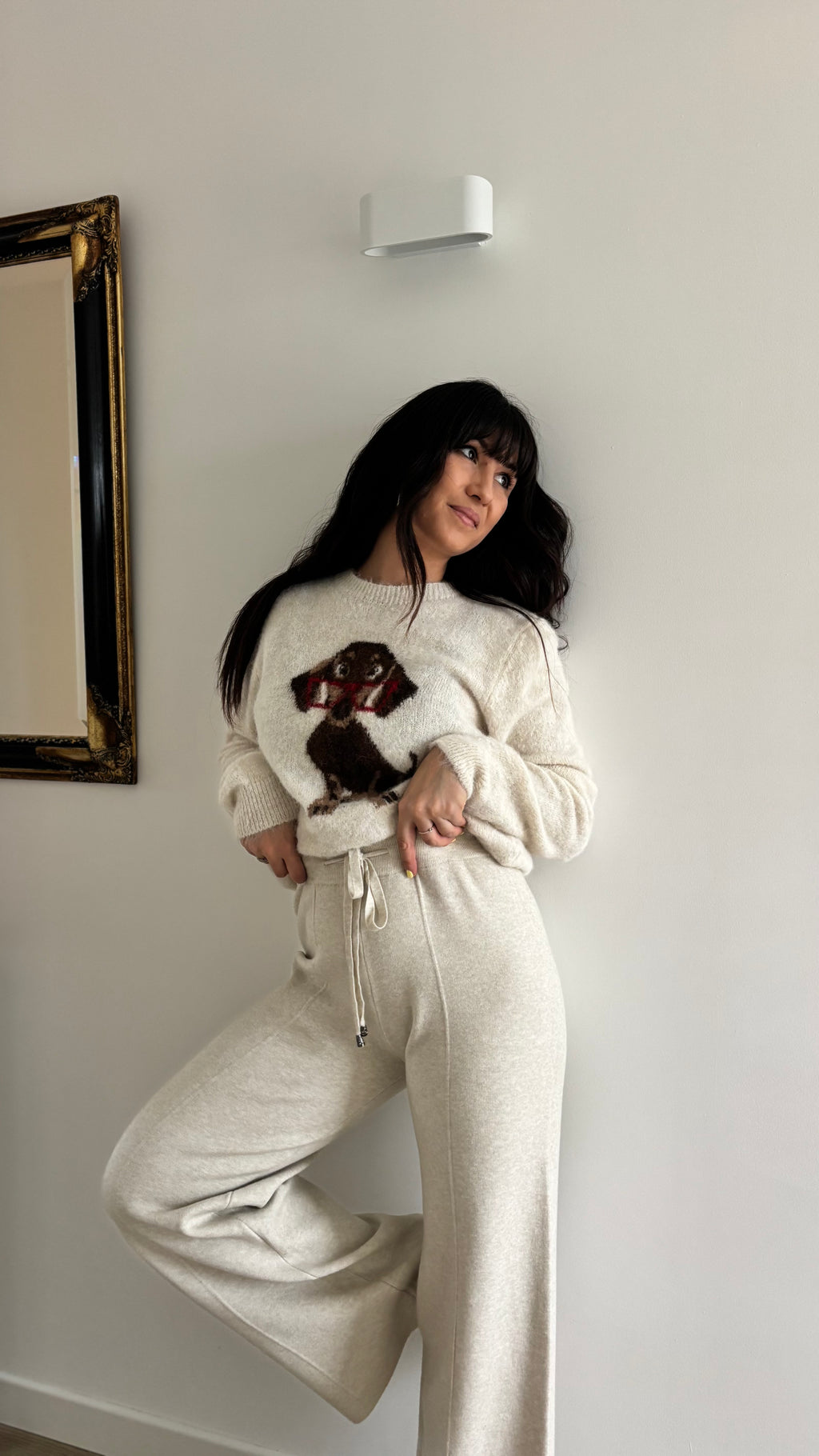 Pull tout doux chien