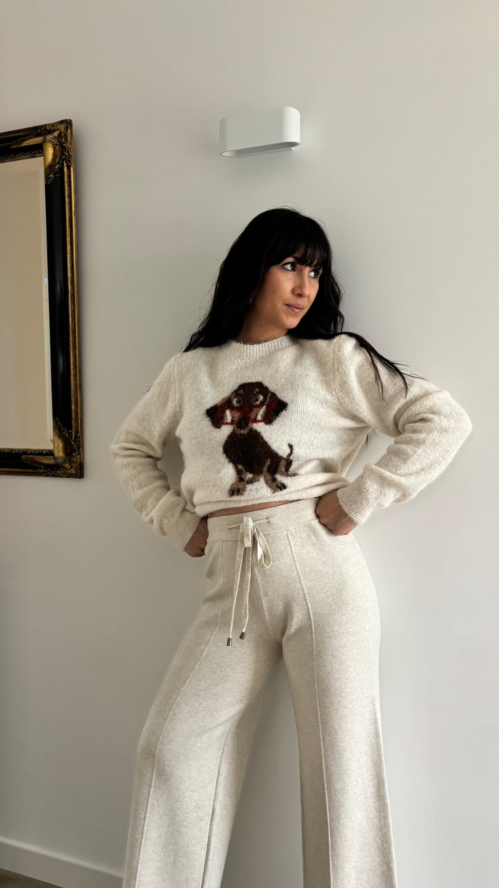 Pull tout doux chien